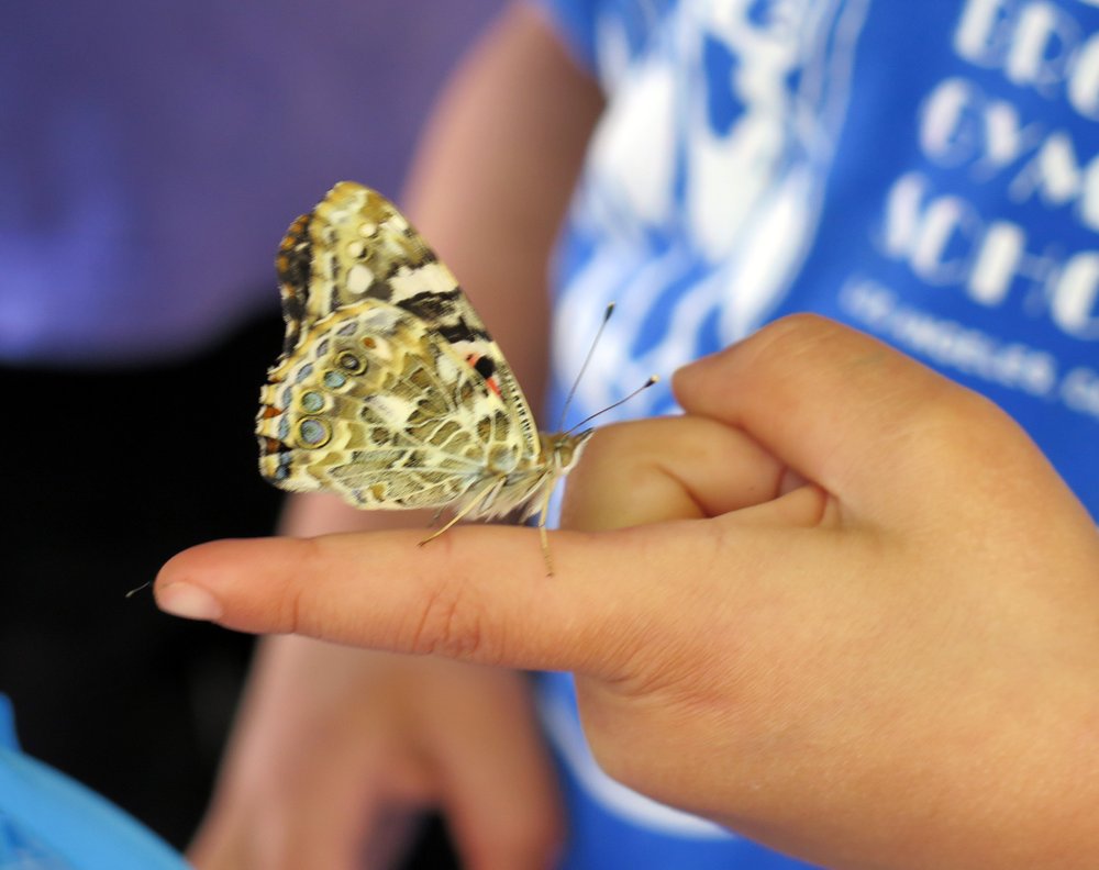 First Lutheran Early Education Center @ St. Mark's - childcare center in Lomita, CA