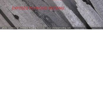 Whitaker Roofing Services - Oh, holey roof! - Roofing Near Me - Salt Lake City, Utah Whitaker Roofing Services - Oh, holey roof! - Roofing Near Me - Salt Lake City, Utah