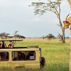 Quallo World Travel - Tanzania & Zanzibar - breathtaking landscapes and vibrant cultures. Home to the iconic Serengeti National Park and Mount Kilimanjaro.
