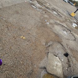Dollar Tree - Parking lot holes