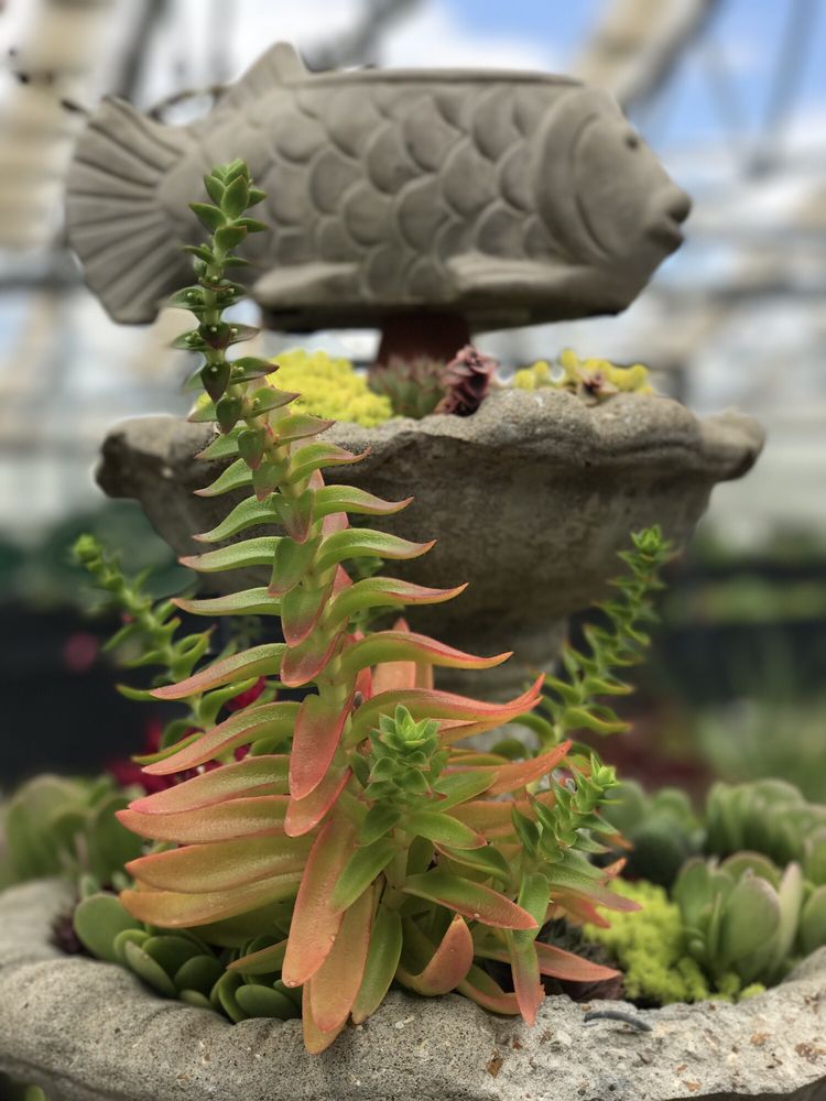 ARNOLDS GREENHOUSE Updated August 2024 1430 Hwy 58 SE, Le Roy, Kansas Nurseries