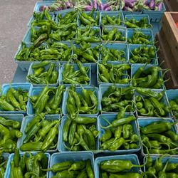 Portland Farmers' Market - Wednesday