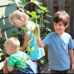 Little Seeds Farm School