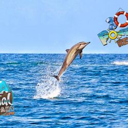 30a Pontoon Rental - Dolphin tours 30a crab island pontoon rentals