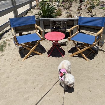 Venice Statepark - Beaches Near Me - Venice, California Venice Statepark - Beaches Near Me - Venice, California