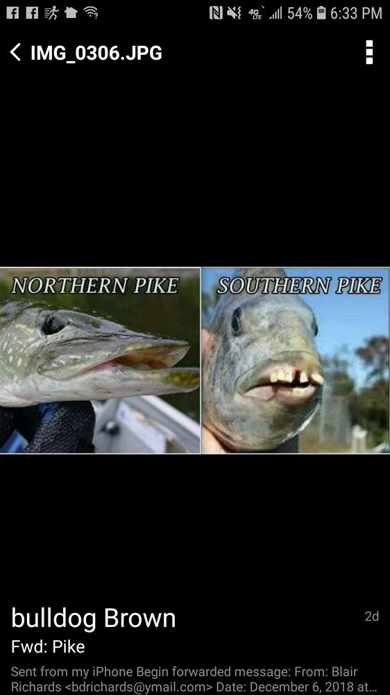 SAFETY EQUIPMENT DIRECT Updated October 2024 117 N Cooper St