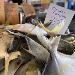 Golden Villa Farmers Market