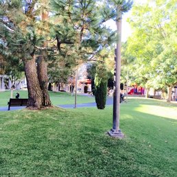 Lots of grass for lolling about. Lots of grass for lolling about.
