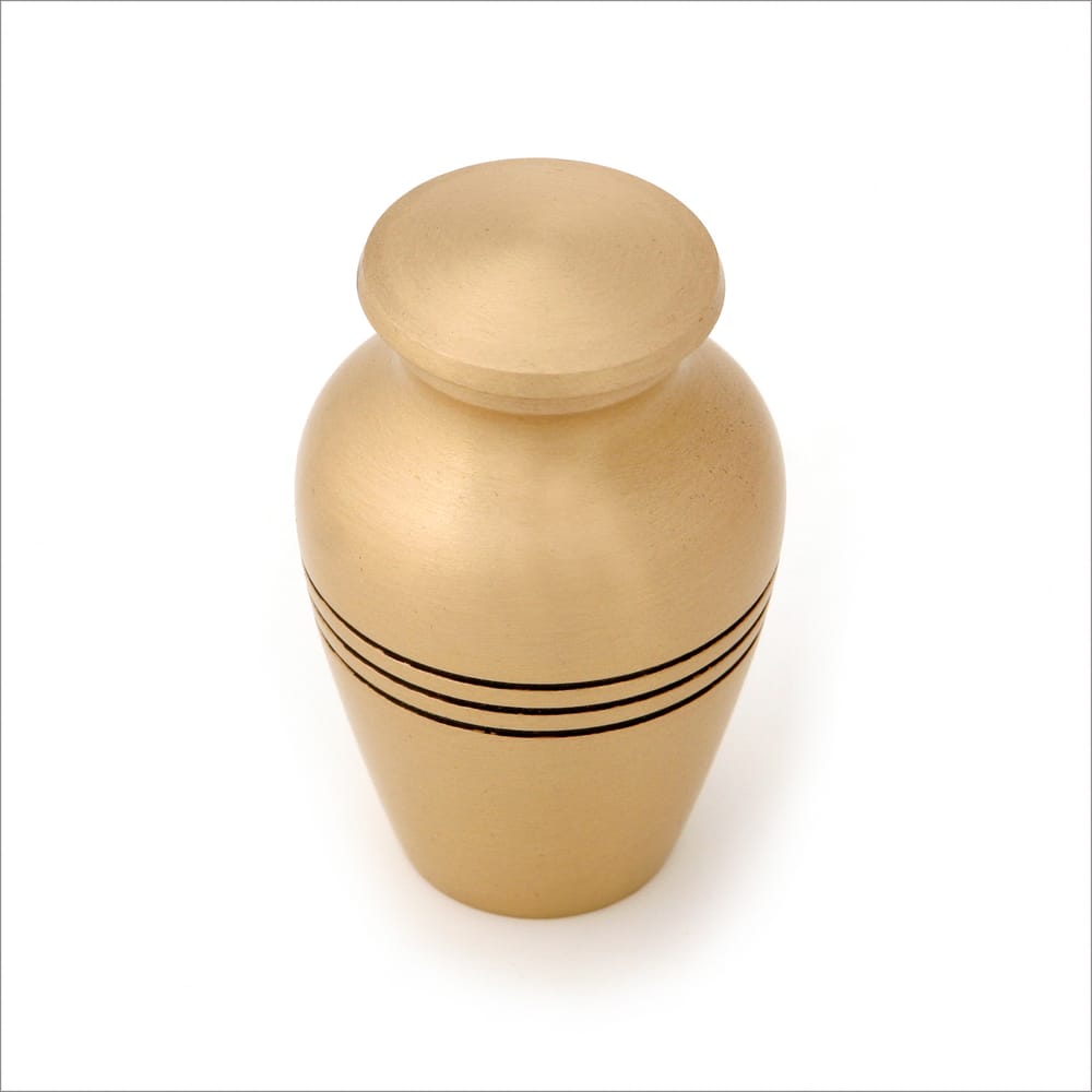 THE FUNERAL CONSULTANT 33 Photos 5 Highbury Road, Torquay, Torbay