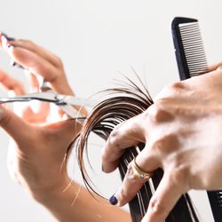 Eyebrow Plus - Women's Cut
