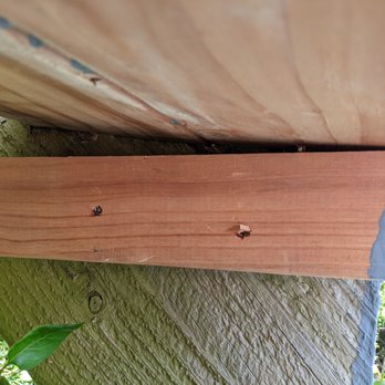 Reliable Home Remodeling & Construction - Underneath the replaced step, a supplement support was attached, but left un-painted and not in contact with the step, gap up to 1". - General Contractors Near Me - San Rafael, California Reliable Home Remodeling & Construction - Underneath the replaced step, a supplement support was attached, but left un-painted and not in contact with the step, gap up to 1". - General Contractors Near Me - San Rafael, California