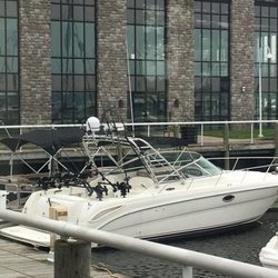 Admiral Marine Surveyors