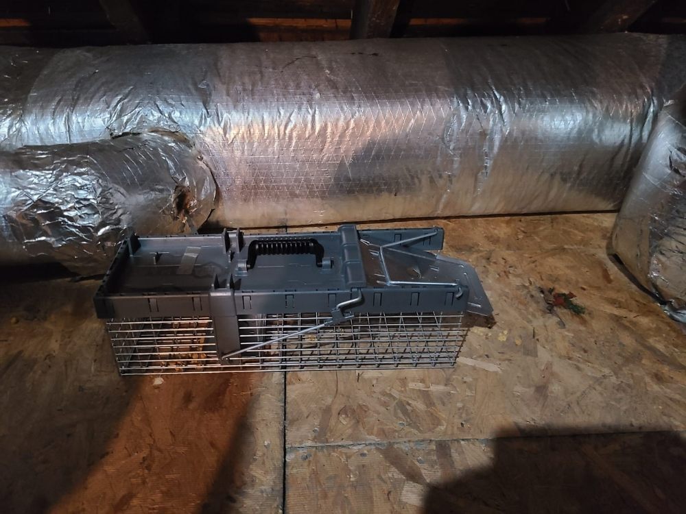 Slide of Tony G Tech Plumbing Services