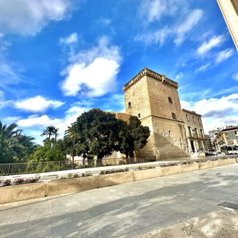 Parque Municipal Elx - Palmeral de Elche - Local Flavor Near Me - Elche, A