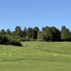 The Old Lantern Inn and Barn - The beautiful grounds.