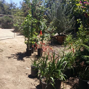 Halls Plant Nursery - Nurseries & Gardening Near Me - Temecula, California Halls Plant Nursery - Nurseries & Gardening Near Me - Temecula, California