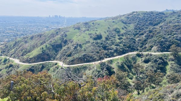 Runyon Canyon Park by null