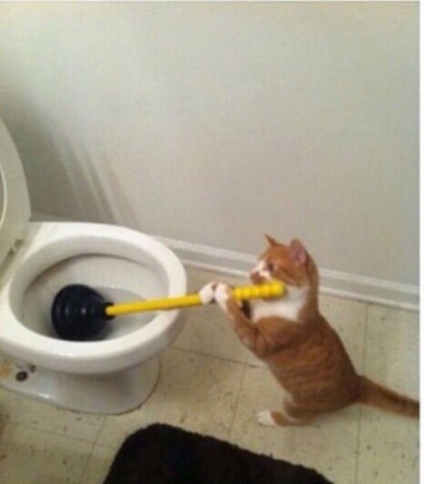 Slide of The Drain King