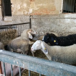 Cascina Caldera