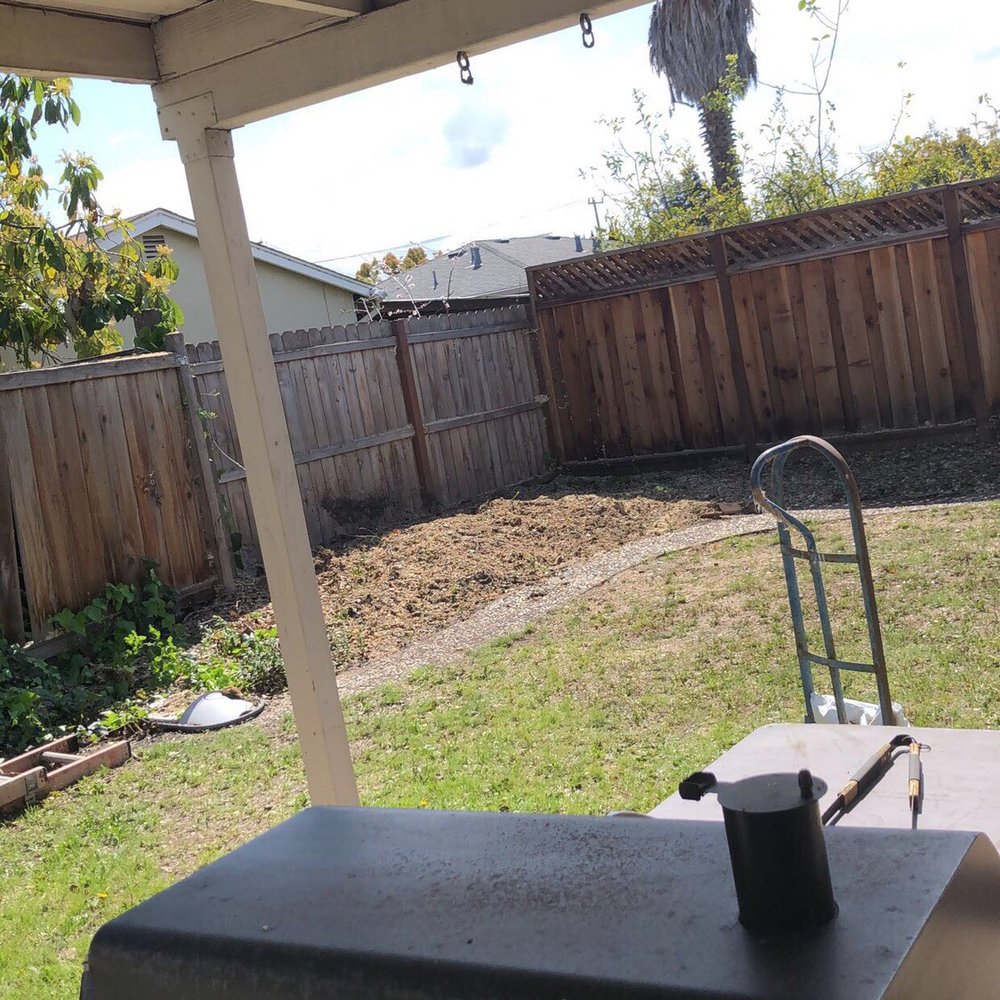 La Canada Tree Service - after - Tree Services Near Me