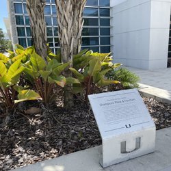 University of Miami