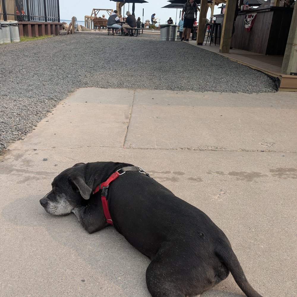 Hoops Dockside Fish And Chips - Fish & Chips Near Me - Bayfield, Wisconsin
