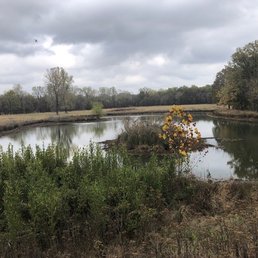 The pond just outside the Nature Center Building. The pond just outside the Nature Center Building.