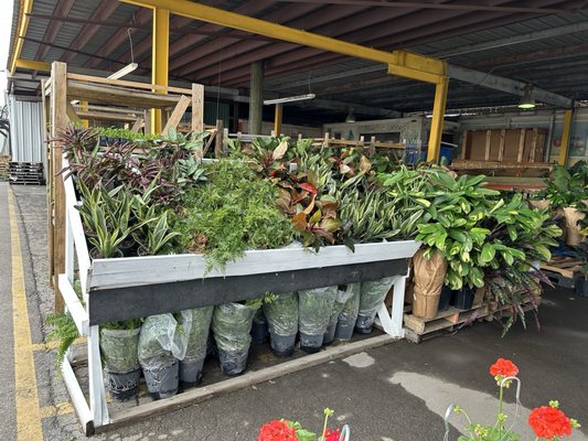 Alabama Farmers Market by null