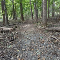 Bowdoin Park