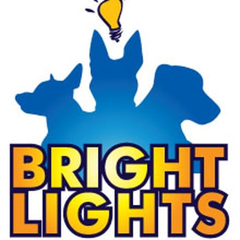 Bright Lights Dog Training - The smart way to train - Bright Lights Dog Training. - Pet Training Near Me Bright Lights Dog Training - The smart way to train - Bright Lights Dog Training. - Pet Training Near Me