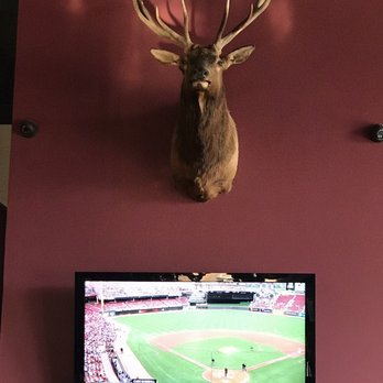 The Diving Elk - Cubs game & cold beer. Who knew heaven is in Sioux City Iowa? - New American Near Me - Sioux City, Iowa The Diving Elk - Cubs game & cold beer. Who knew heaven is in Sioux City Iowa? - New American Near Me - Sioux City, Iowa