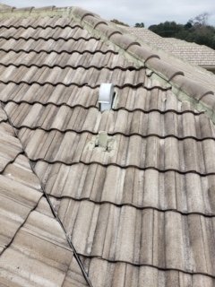 Slide of Roof Nation