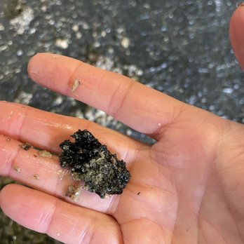 Alko Equestrian Center - Black mold removed from feeder - Horseback Riding Near Me - Napa, California Alko Equestrian Center - Black mold removed from feeder - Horseback Riding Near Me - Napa, California