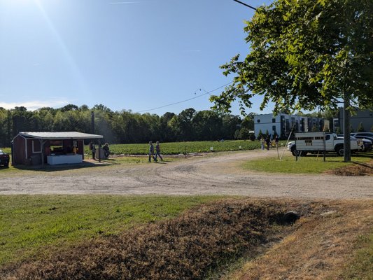 Salem Berry Farm by null