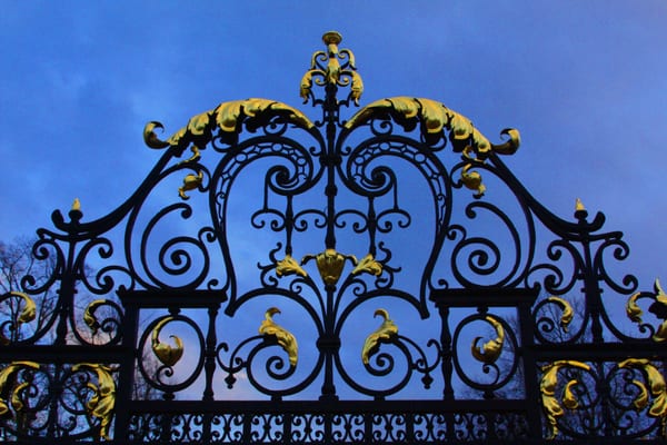 Greenwich Park by null