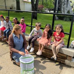 Our Kids Place - Hewlett - We raise and release butterflies every year!