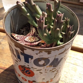 Petiscos - funky table decoration. Like! - Tacos Near Me - Claremont, California