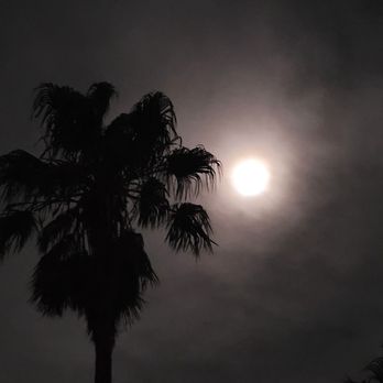 Kon Tiki Inn - There's not a bad view here. - Hotels Near Me - Pismo Beach, California