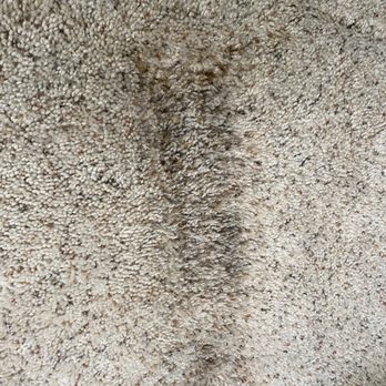 Steam Pro - Before - Carpet Cleaning Near Me - Englewood, Colorado Steam Pro - Before - Carpet Cleaning Near Me - Englewood, Colorado