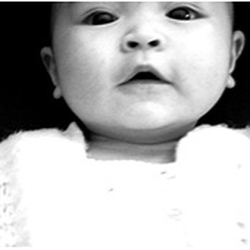 Blueprint Birth