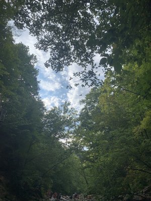 McCormick's Creek State Park by null