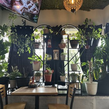Manny Vibez - Cute plant Window - Breakfast & Brunch Near Me - Norwood, Pennsylvania