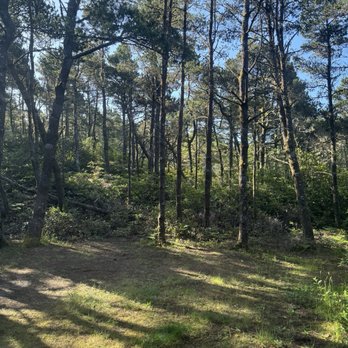 South Beach State Park - Deep large private lot at base of G14. - Parks Near Me