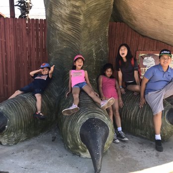 Cabazon Dinosaurs - Museums Near Me - Cabazon, California Cabazon Dinosaurs - Museums Near Me - Cabazon, California