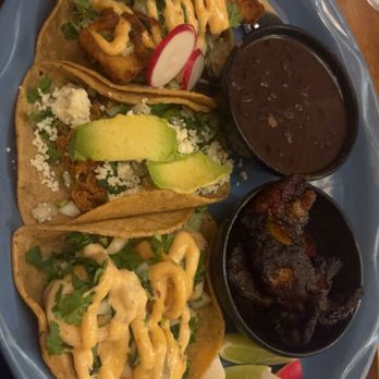 Bickering Twins - Taco Platter: (from top to bottom)  Beer Battered Mahi-Mahi Chicken Tinga  Garlic Shrimp - Tacos Near Me - Ithaca, New York