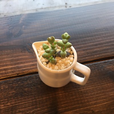 Standing Egg by null