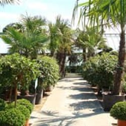 Paramount Plants & Gardens