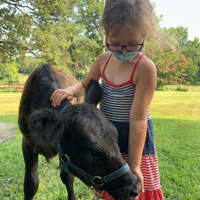 St. Joseph Farm by null