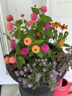 Strawberry Hill Farms by null