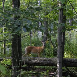 Killbear Provincial Park
